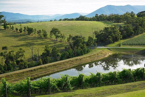 Yarra Valley Wine And Cider Tours By Classic Convertibles From Melbourne - Dalby Accommodation 1