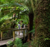Great Ocean Road to Grampians 2 Day 1 Night Tour from Melbourne to Adelaide - Dalby Accommodation
