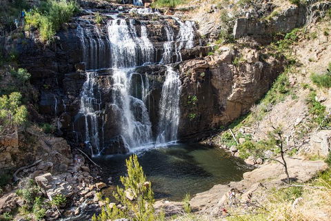 Grampians National Park With Kangaroos And MacKenzie Falls From Melbourne - Dalby Accommodation 1