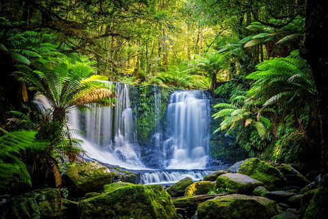 Day Tour In Mt. Field, Mt. Wellington, Bonorong Wildlife Sanctuary And Richmond - Dalby Accommodation 0