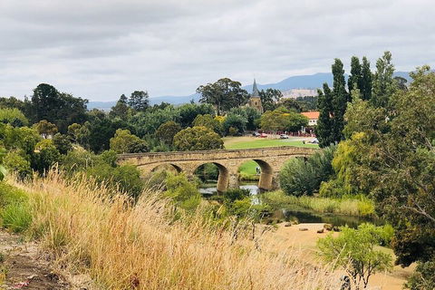 Day Tour In Mt. Field, Mt. Wellington, Bonorong Wildlife Sanctuary And Richmond - Dalby Accommodation 3