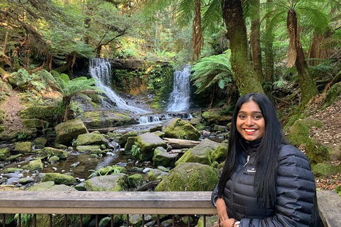 Day Tour In Mt. Field, Mt. Wellington, Bonorong Wildlife Sanctuary And Richmond - Dalby Accommodation 5