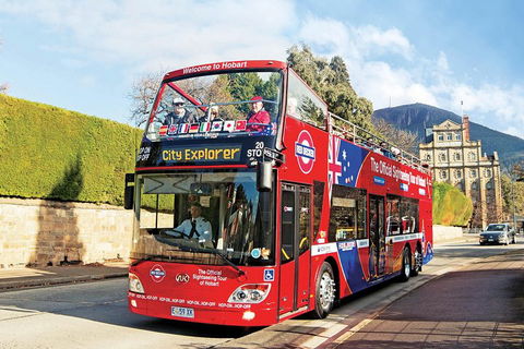 Hobart Hop-On Hop-Off Bus & Kunanyi/Mt Wellington Tour - Dalby Accommodation 4