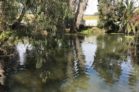 Perth East Foreshore And City Segway Tour - Dalby Accommodation 1