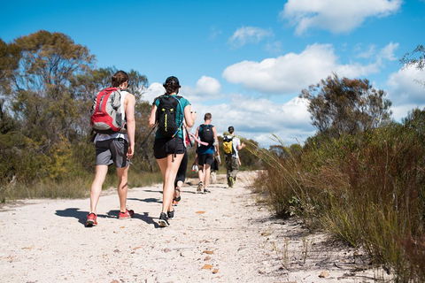 Pittwater Discovery Kayaking Tour - Dalby Accommodation 0