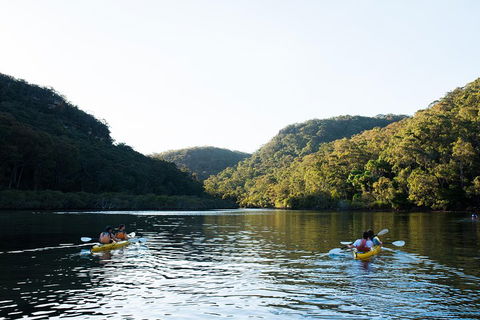 Pittwater Discovery Kayaking Tour - Dalby Accommodation 1