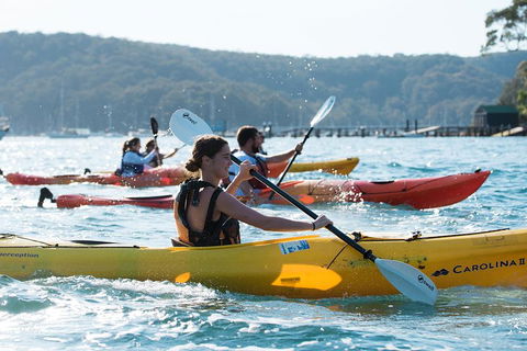 Pittwater Discovery Kayaking Tour - Dalby Accommodation 2