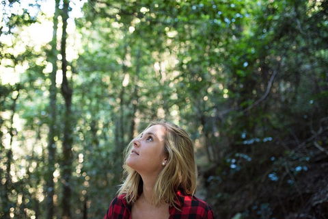 Pittwater Discovery Kayaking Tour - Dalby Accommodation 4