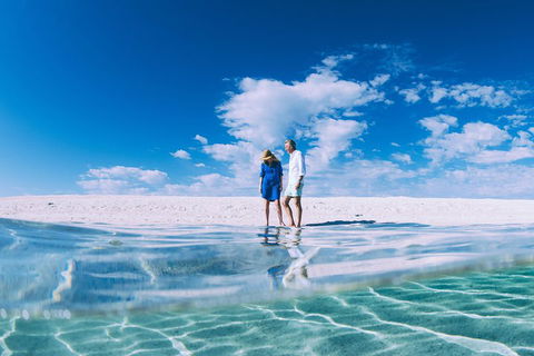 4-Day Coastal Loop Via Monkey Mia Wild Dolphins Kalbarri Pinnacles Perth Return - Dalby Accommodation 0