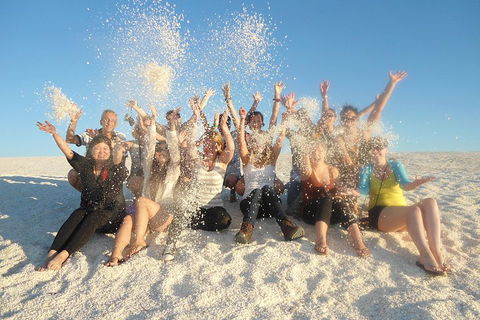 4-Day Coastal Loop Via Monkey Mia Wild Dolphins Kalbarri Pinnacles Perth Return - Dalby Accommodation 1