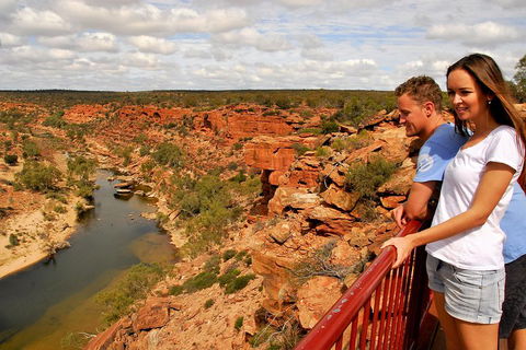 4-Day Coastal Loop Via Monkey Mia Wild Dolphins Kalbarri Pinnacles Perth Return - Dalby Accommodation 3
