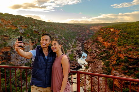 6-Day Coral Coaster From Perth To Exmouth One-Way Via Monkey Mia Ningaloo Reef - Dalby Accommodation 1