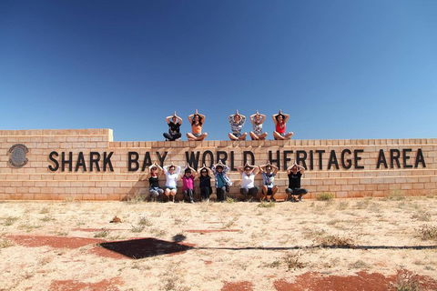 6-Day Coral Coaster From Perth To Exmouth One-Way Via Monkey Mia Ningaloo Reef - Dalby Accommodation 4