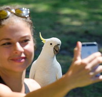 2-Day Melbourne to Adelaide Tour Great Ocean Road and Grampians One Way Trip - Dalby Accommodation