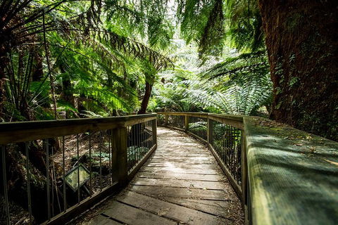Melbourne To Adelaide South East Coast 3 Day Overland Tour - Dalby Accommodation 1