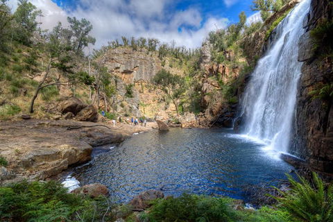 Melbourne To Adelaide South East Coast 3 Day Overland Tour - Dalby Accommodation 4
