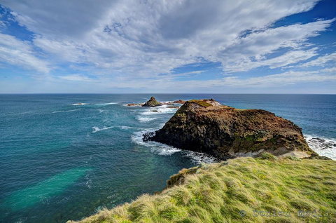 Small-Group Phillip Island Day Trip From Melbourne With Penguin Plus Viewing - Dalby Accommodation 0