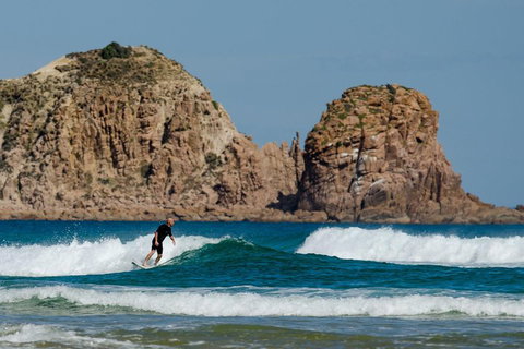 Small-Group Phillip Island Day Trip From Melbourne With Penguin Plus Viewing - Dalby Accommodation 3