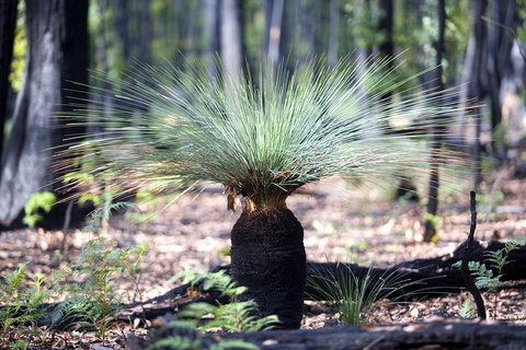 Small-Group Grampians Great Wilderness Escape Day Trip With Hiking - Dalby Accommodation 2