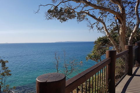 Noosa And Sunshine Coast Hinterland Day Trip From Brisbane - Dalby Accommodation 0