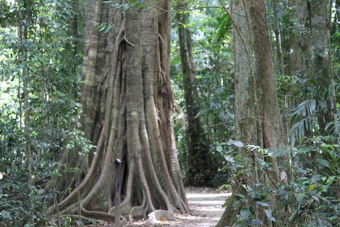 Noosa And Sunshine Coast Hinterland Day Trip From Brisbane - Dalby Accommodation 3