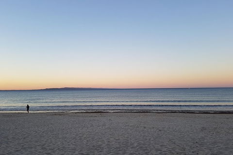 Noosa And Sunshine Coast Hinterland Day Trip From Brisbane - Dalby Accommodation 5