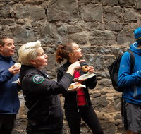 History  Donuts Walking Tour - Dalby Accommodation
