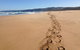 Private Great Ocean Road Full Day Tour - 1 Day Tour - thumb 5