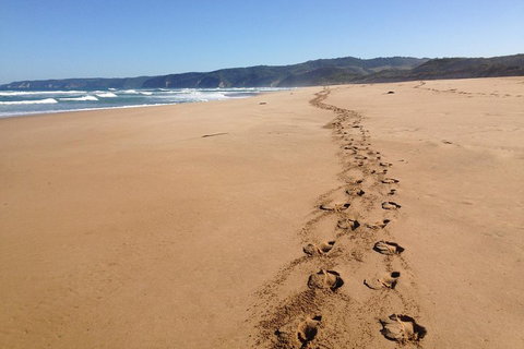 Private Great Ocean Road Full Day Tour - 1 Day Tour - Dalby Accommodation 5