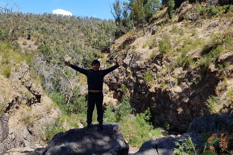 Grampians & Halls Gap - Dalby Accommodation 1