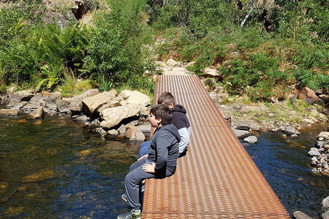 Grampians & Halls Gap - Dalby Accommodation 2