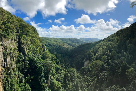 Springbrook Full Day Tour - Dalby Accommodation 1