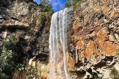 Springbrook Full Day Tour - Dalby Accommodation 2