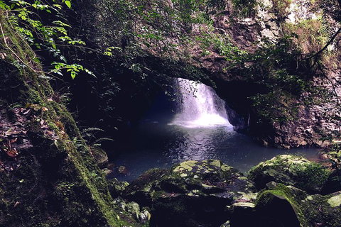 Springbrook Full Day Tour - Dalby Accommodation 3