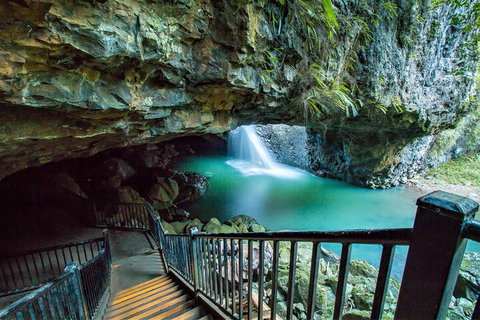 Springbrook Full Day Tour - Dalby Accommodation 4
