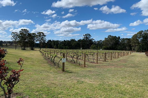 Private Day Trip To Hunter Valley From Sydney With Pickup - Dalby Accommodation 3
