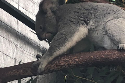 Perth Hills - Wildlife, Art & Gastronomy - Dalby Accommodation 3