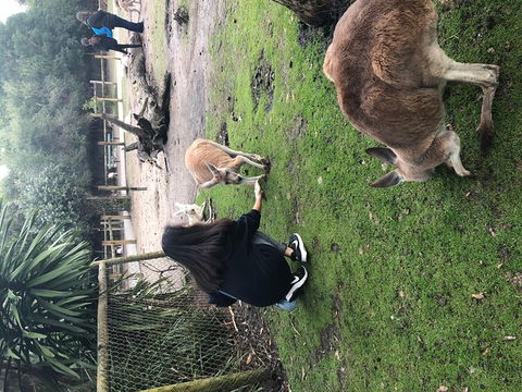 Perth Hills - Wildlife, Art & Gastronomy - Dalby Accommodation 4
