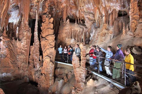 Private Tour: Jenolan Caves & Blue Mountains In A Day - Dalby Accommodation 0