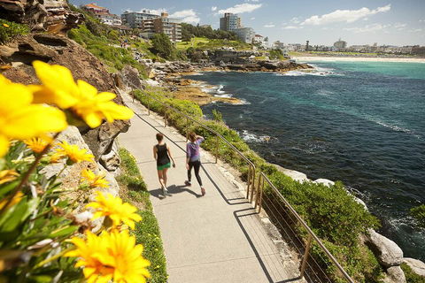 Sydney Uncovered Full-Day Tour - Dalby Accommodation 1