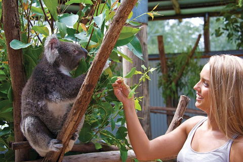 Private Guided Tour: Blue Mountains Tour From Sydney - Dalby Accommodation 5