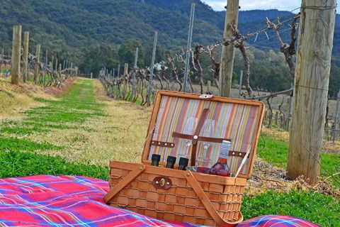 Private Hunter Valley And Gardens Day Trip From Sydney - Dalby Accommodation 2