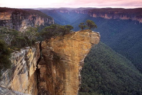 Private Tour: Blue Mountains And Jenolan Caves Day Trip From Sydney - Dalby Accommodation 0