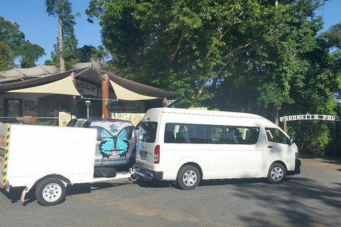 Airport Transfer To Or From Cairns Hotels For Up To 13 People - Dalby Accommodation 4