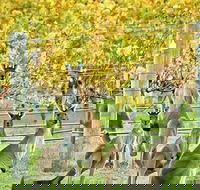 Margaret River Indulge and Discover Day Tour - Dalby Accommodation