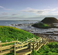Full-Day Private Australian Wildlife Tour of Phillip Island - Dalby Accommodation