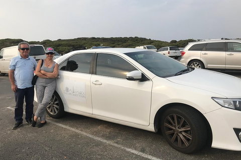 Full-Day Private Australian Wildlife Tour Of Phillip Island - Dalby Accommodation 1