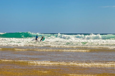 Full-Day Private Australian Wildlife Tour Of Phillip Island - Dalby Accommodation 3