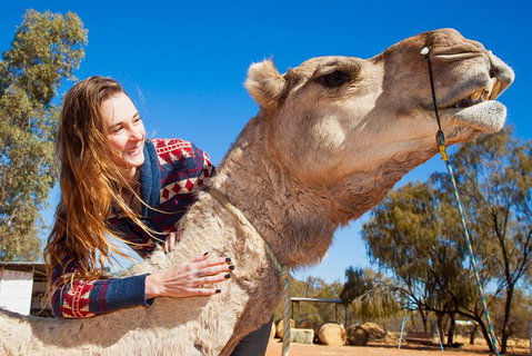 Alice Springs Camel Tour - Dalby Accommodation 2