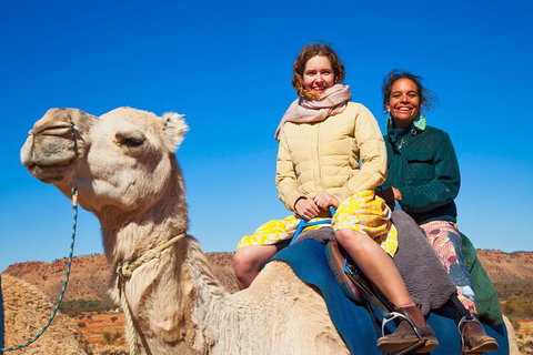 Alice Springs Camel Tour - Dalby Accommodation 3
